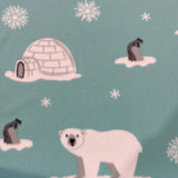 Polar Friends