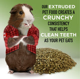 Enriched Guinea Pig Food 5.5lb - Stoter Farm