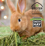 Premium Timothy Hay - Stoter Farm