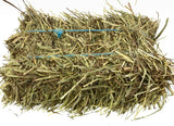 Timothy Hay Mini Bale - Hay Country